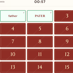Brown memory cards matching Latin words with their meanings